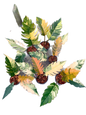 Philodendron caramel marble  – Set of 5 Plants